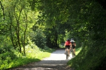 Top 5 des sports « brûle-graisse » Top 5 des sports « brûle-graisse »